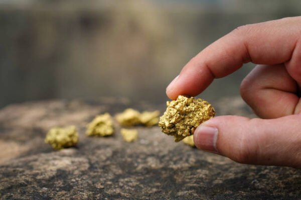 Raw Gold & Natural Gold – Pure, Authentic Gold Available Now raw gold